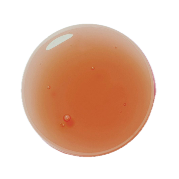 ecomposer-cor-Aqua-5