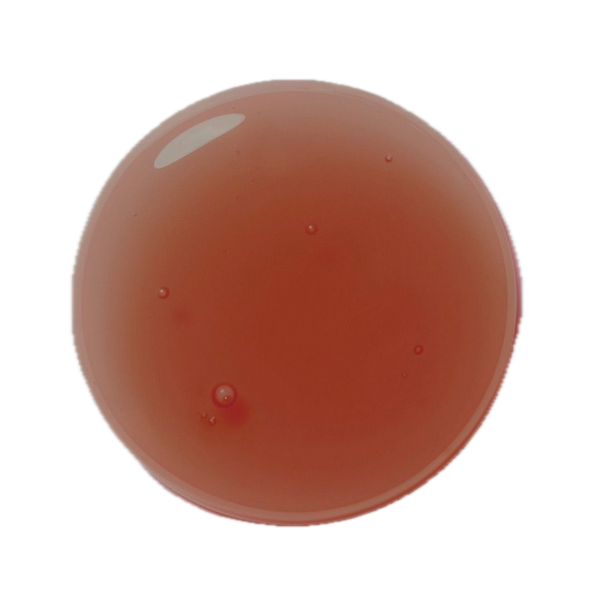 ecomposer-cor-Aqua-6